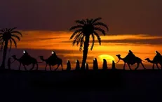 بیست و نهم محرم / درخواست «ام کلثوم(س)» از شمر