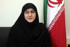 حکیم زاده: ۴ میلیون دانش‌آموز در جشنواره جابربن حیان شرکت می‌کنند