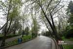 هوای بارانی تهران