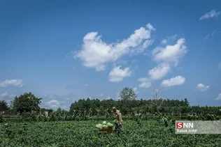 new