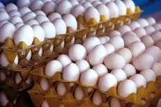 قیمت تخم مرغ در میادین میوه و تره‌بار تهران اعلام شد