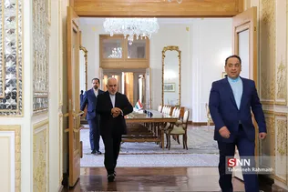دیدار ظریف با وزیر امور خارجه تاجیکستان