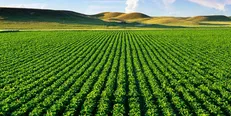 همکاری ایران و اتحادیه اروپا در حوزه کشاورزی/ نه بزرگ به تحریم‌های آمریکا