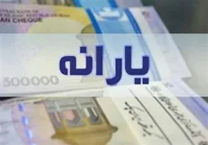 مردمی‌سازی یارانه‌ها در ایران کمیابی و گرانی کالا‌ها در کشور‌های همسایه