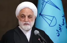 سکوت مدعیان حقوق بشر در برابر جنایات صهیونیست‌ها شرم‌آور است