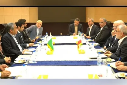 ایران، پاکستان و عراق نشست مشترک مدیریت سفر&zwnj;های اربعین برگزار می&zwnj;کنند
