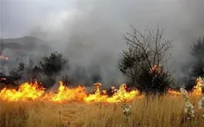 وقوع ۳ فقره آتش‌سوزی در جنگل‌ها و مراتع لرستان