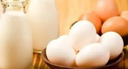 چراغ سبز تنظیم بازار برای گرانی دوباره شیر، مرغ و تخم مرغ + سند