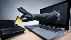 ۳۶ درصد از کل جرائم فضای مجازی مربوط به کلاهبرداری است