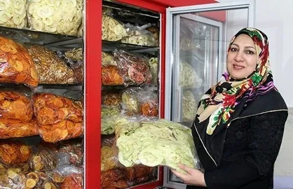 اختصاص ۳ هزار میلیارد اعتبار برای مشاغل خانگی / ۱۵۰ هزار شغل تا پایان سال ایجاد می&zwnj;شود