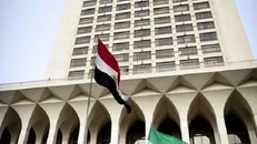مصر: مخالف تقسیم سوریه هستیم/ از اقدام نظامی آمریکا اطلاع نداشتیم