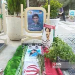 محمدرضا احمدی