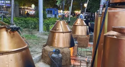 برگزاری جشنواره گلاب&zwnj;گیری در خیابان سی تیر تهران