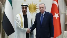 گفت‌ وگوی بن‌زاید و اردوغان درباره تحولات منطقه‌