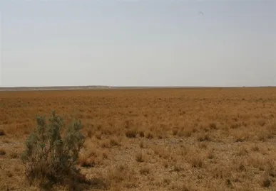 خشکی تالاب بندعلی‌خان ۳۰ میلیارد تومان به عشایر خسارت زد
