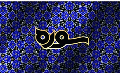 دلایل پذیرش صلح و معاهده ترک مخاصمه امام حسن (ع) چه بود؟