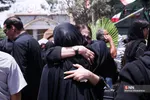 دبب