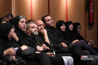 دبب