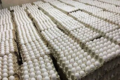 قیمت تخم مرغ در میادین و بازار&zwnj;های میوه و تره&zwnj;بار اعلام شد