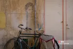 انقلاب در قم