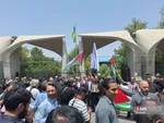 تجمع