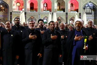 دبب