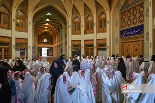 زیسرب