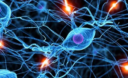 فناوری نانوحفره امکان صحبت سلول&zwnj;ها با کامپیوتر&zwnj;ها را فراهم کرد