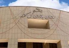 هشدار سازمان بازرسی به وزیر راه درمورد تخلفات شرکت‌های هواپیمایی