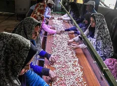 اولین طرح جامع خاتمه‌ یافته کشور در حوزه اسناد توسعه اقتصادی و اشتغال‌زایی روستایی ارائه شد