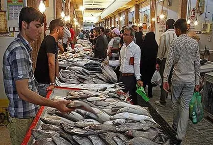 شیراز صاحب چند بازارچه تخصصی ماهی&zwnj;فروشان می&zwnj;شود/ دنبال حفظ حقوق اصناف دروازه کازرون هستیم