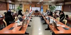 تصویب دستورالعملی برای دستیابی به اهداف سند توسعه ظرفیت‌های ملی