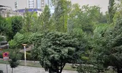 هشدار وقوع تندباد در تهران/ پیش بینی طوفان&zwnj;های &laquo;بعدازظهری&raquo; تا آخرهفته