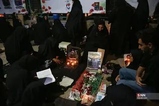 دبب