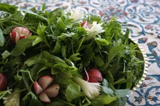 این سبزی برای بی نیاز کردن شما به رفتن به مطب دکتر پوست است/ برای رفع سردی معده چکار کنیم؟