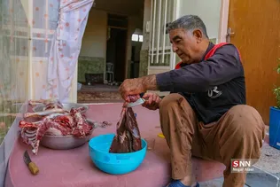 دبب