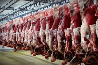 وابستگی ۱۰ درصدی ایران در تولید گوشت قرمز