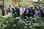عطر سیب