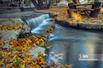 fall