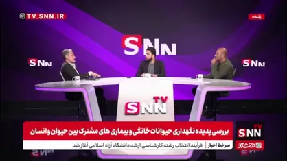 هشدار یک استاد دانشگاه در رابطه با شیوع بیماری هاری در کشور