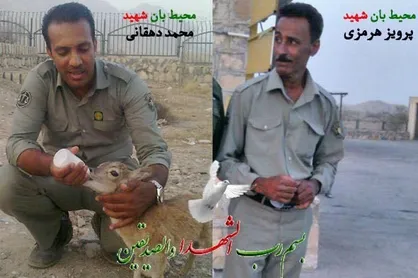 حکم قصاص قاتل محیط بانان هرمزگانی تایید شد