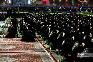 دبب