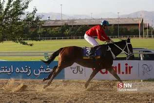 اسب