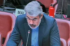 بحرینی: آنچه در شورای حقوق بشر انجام شد بر اساس منافع ملی تعدادی از کشورها بود