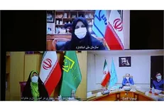 شیوه نامه استقرار مسیر استانداردسازی مشاغل خانگی تدوین شد