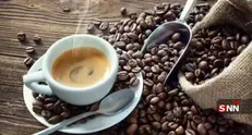 قهوه برای سلامتی خوب است، اما با این ۳ شرط