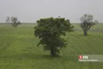 مه 