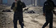 هلاکت ۳ تروریست داعشی از جمله یک انتحاری در مرز عراق با سوریه