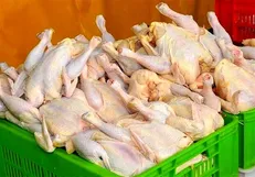 قیمت مرغ ۲۰ هزار و ۴۰۰ تومان است/ هرگونه گرانی مرغ غیر قانونی است
