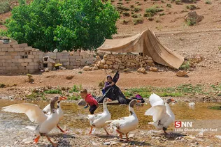در حاشیه انشعابات  رود کارون عشایر به دلیل پرورش دام و مناطق گیاهی فصل هایی از سال را به آنجا  کوچ میکنند 